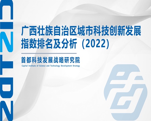 男人大叽吧捅进小B【成果发布】广西壮族自治区城市科技创新发展指数排名及分析（2022）